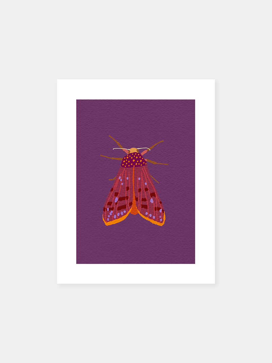 Graphic art print “Garden Moth (A)"