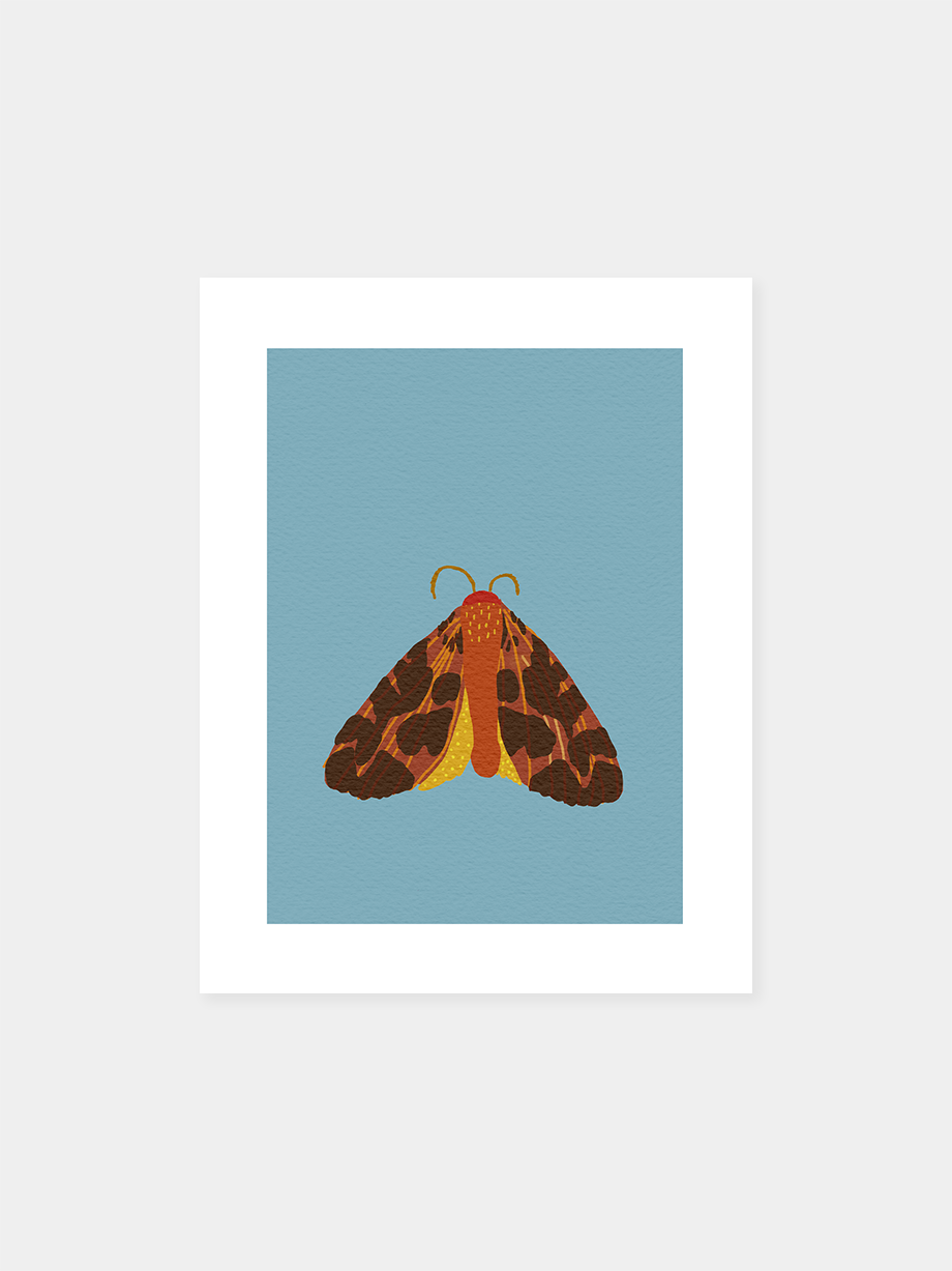 Graphic art print “Garden Moth (B)"